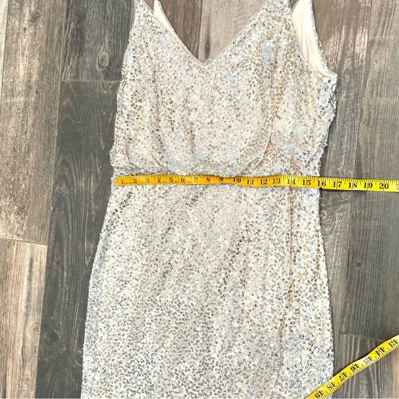 Adrianna Papell Champagne Sequin Beaded V-Neckline Blouson Maxi Gown Dress Sz 12 - Picture 9 of 12